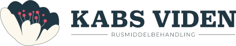 KABS VIDEN logo